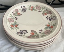 SET 6x WEDGWOOD WEDGEWOOD ROSEBERRY DINNER PLATES 27cm Dia VGC ROSES ROSE HIPS