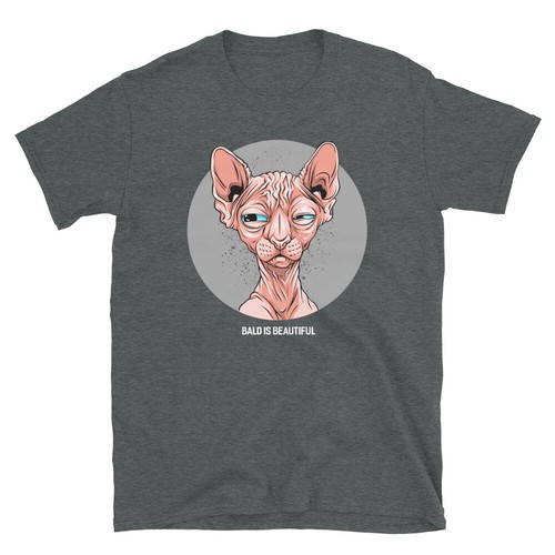 Hairless kitten feline sphynx - kitten,
