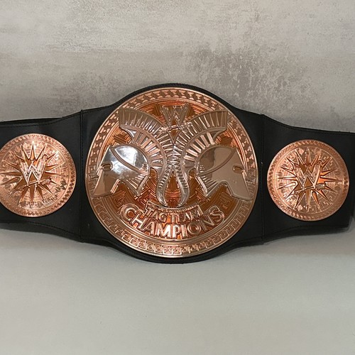 2010 mattel wwe - tag, team