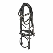 Equestrian Horses Bridle With