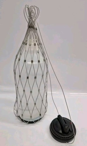 Bottle net spider - spider, +