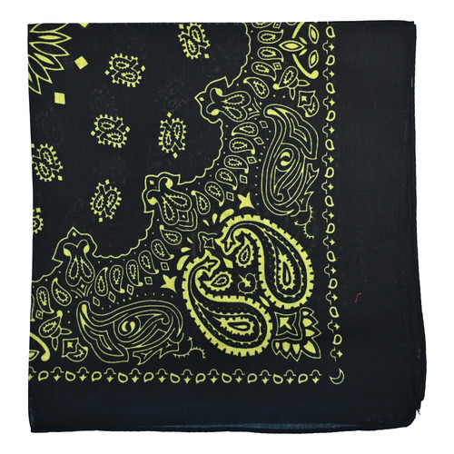 Cotton bandana paisley rainbow - bandana,