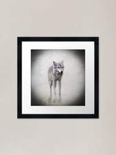 Wolf dog framed - dog,