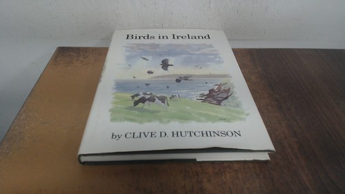 Birds in ireland - birds,