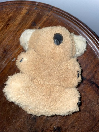 Vintage koala bear kangaroo - koala,