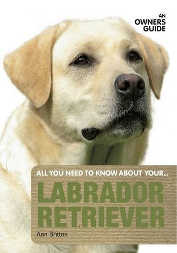 Labrador retriever owner - retriever:, an