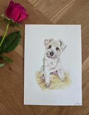 Pet portrait illustration
