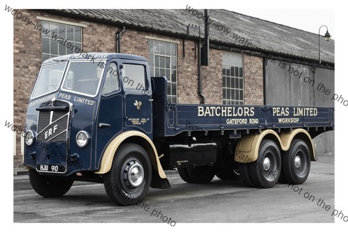 Cv869 batchelors peas ltd - batchelors,
