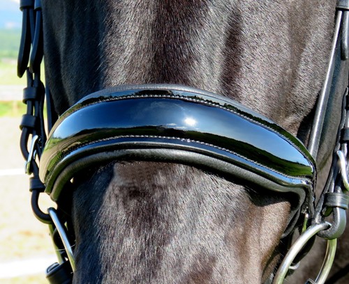 Fss crank cavesson noseband - fss,