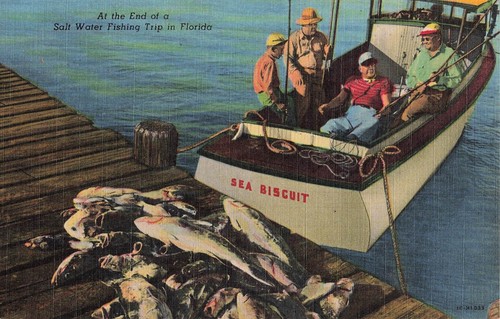 Salt water fishing trip - salt,