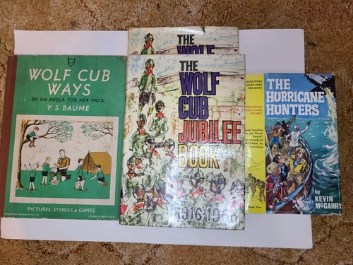 Boy scout books wolf cub - boy,