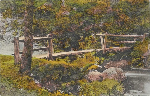 Bridge near becky falls devon - becky,