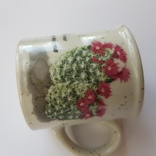 Cactus succulent enthusiast