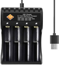 4 Slot Universal Battery