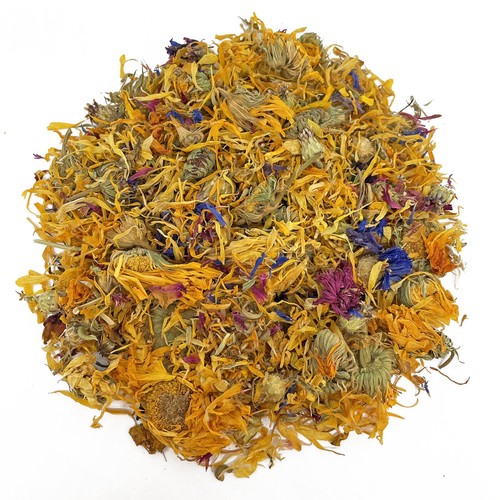 Dried bearded dragon - dried, flower
