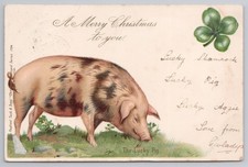 1903 Lucky Pig & Shamrock Tuck Christmas Postcard Market Drayton Postmark