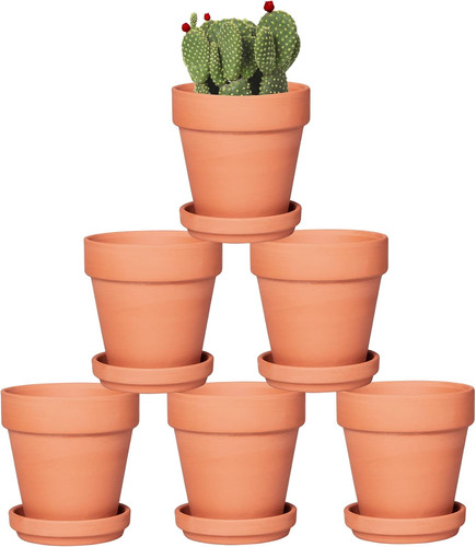 Inch terracotta pots with - terracotta,