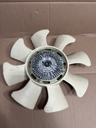 Asia rocsta viscus - rocsta, fan