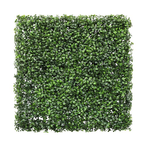 20x20 artificial boxwood - boxwood, w/