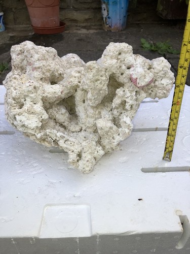 Pl7 lovely dry - lovely, tonga