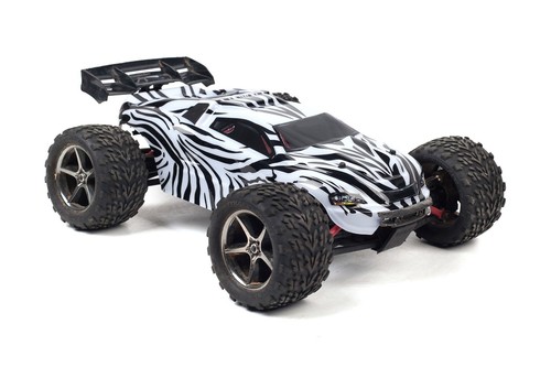 Custom body zebra style - zebra,