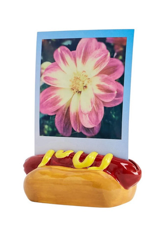 Urban outfitters hotdog - outfitters,