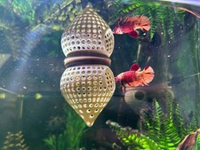 Floating Betta Cave Log – Aquarium Hide for Shrimp & Fish Tank, Aquascape Decor