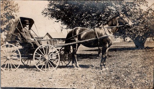 Man riding horse - horse, drawn