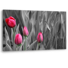 Pink Tulips Flowers Black White Tulip Framed Canvas Wall Art Picture Print