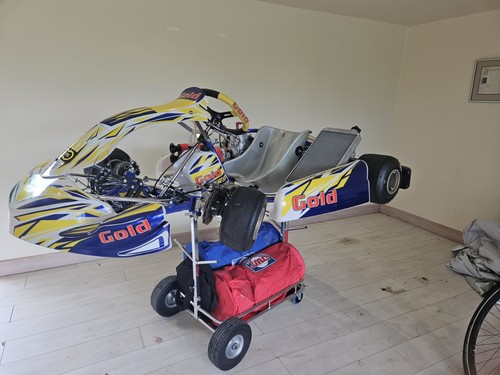 Gold kart 2024 model - kart,