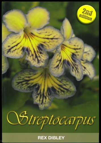 Streptocarpus dibley rex - -, dibley,