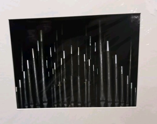 Photograph organ pipes - photograph, pipes"