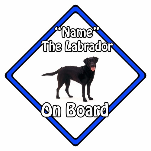 Dog board car - board,