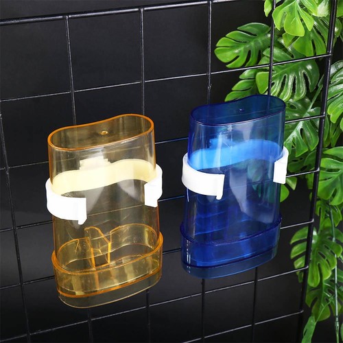 Bird water drinker - bird,