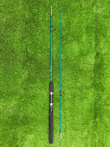 6ft 2pc spinning rod - 2pc,