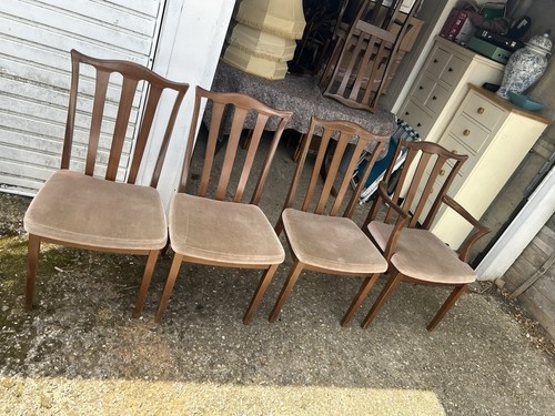 Plan dining chairs brasilia - plan,