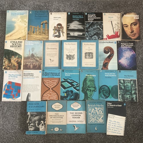 Pelican books bundle - books,