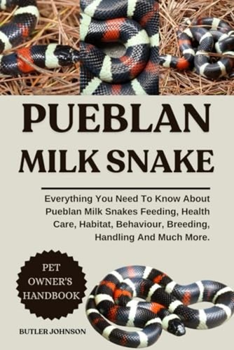 Pueblan milk snake - pueblan,