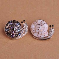 Enamel abalone shell - enamel,