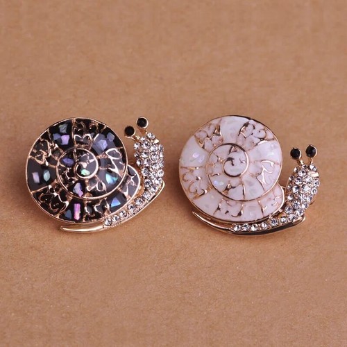 Enamel abalone shell snail - abalone,