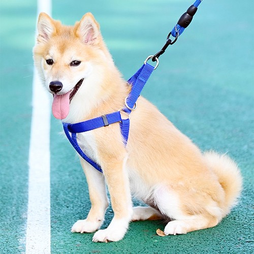 Dog harness heavy - harness, duty