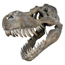 T-Rex Dinosaur Skull, Large Resin Replica Freestanding 51.5cm Wall Mountable
