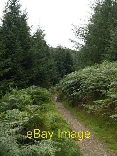 Photo 6x4 mountain bike trail - 6x4,
