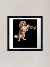 Cavalier King Charles Spaniel
