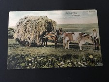 Carting Hay Guernsey -  Horse & Oxen by Guerin abt 1906