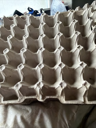 Cardboard egg trays - cardboard, boxes