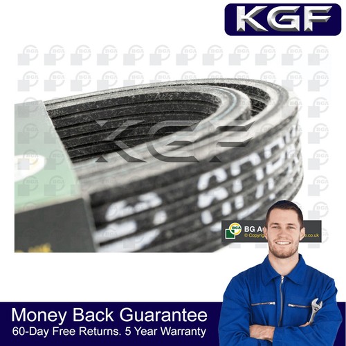 Kgf ribbed drive - v,