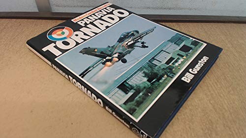 Panavia tornado modern combat - (modern,