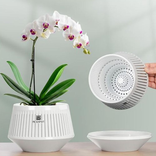 Meshpot orchid pot - pot, with