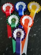 1st to 6th 2 tier rosettes in